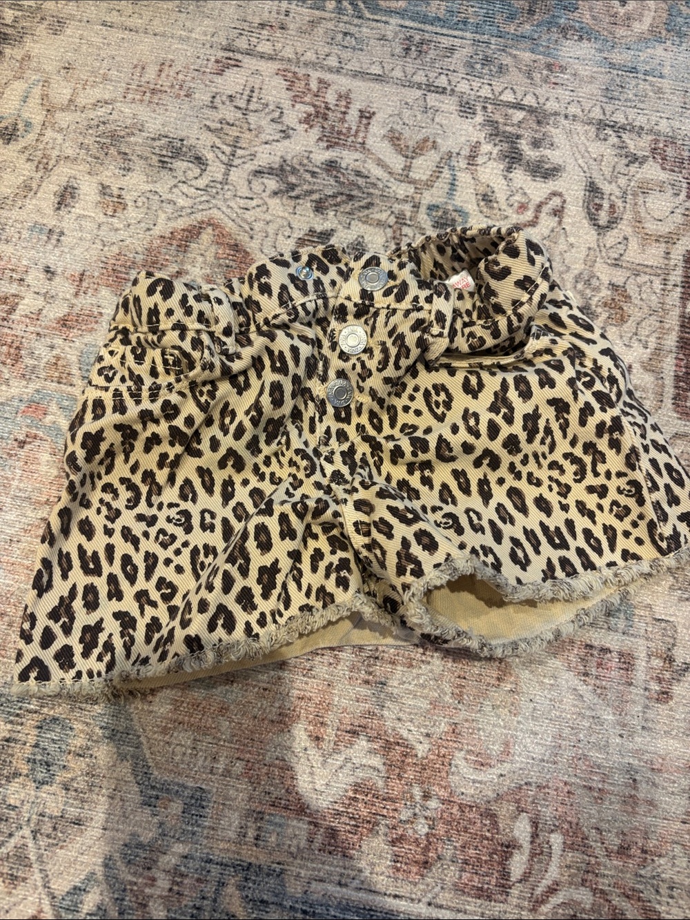 Zara Leopard Print High-Waist Button Front Shorts - Beige & Black toddler 4T